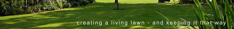 creating a living lawn - and keeping it that way