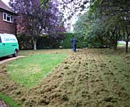 Beginning the verticutting of the lawn